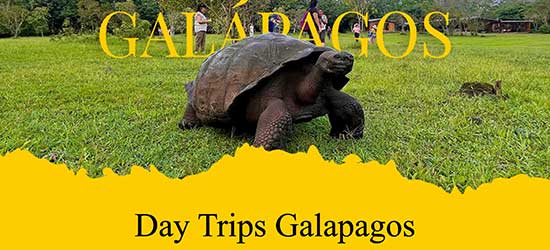 Day Trips Galapagos