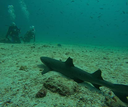 travel between galapagos islands